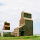 Lepine